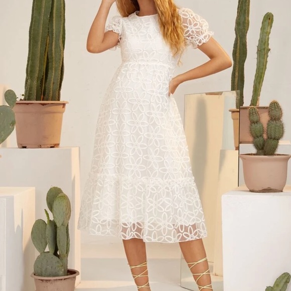 $100 - Picture 7 of 12